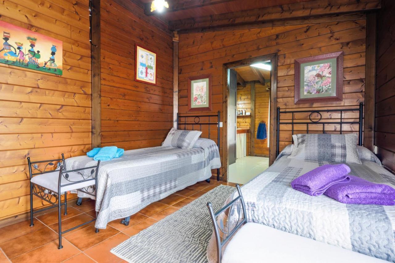 Casa Rural Con Piscina Arafo Ngoại thất bức ảnh